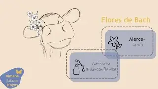 FLORES DE BACH GRUPO # 6 ALERCE - LARCH