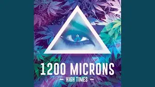 Purple Haze (Original Mix)