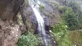 Madeira Levada Walks 