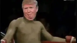 CNN Trump Boxing