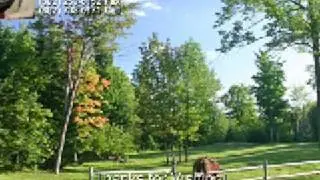 Stowe Hollow Vermont Home on 10+ acres - Great Horse Property