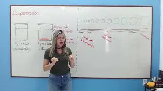 DISPERSÕES (Conceitos e classificações)