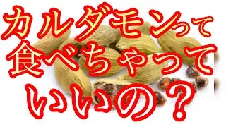 カルダモンって食べちゃっていいの？もうやんカレーの緑のカレーにぷかぷか浮いてる　あれ　です。