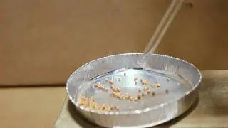 Small Parts Counter
