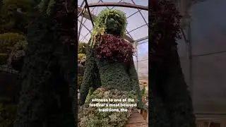 Topiaries at the South Carolina Festival of Flowers