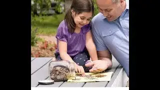 JW.ORG Jehovah&rsquo;s Witnesses, Money, Hypocrisy and CSA