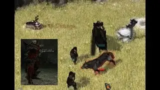 Disciples III: Lair of hard legion /3 - part 1/3. (Hordes off life creatures)