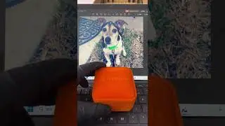 Google search iPetprints - Personalized Pet Jewelry: A Heartfelt Tribute to Your Fur Baby