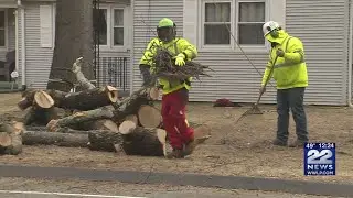 Eversource investing over $41M in tree trimming, removal