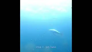 How to Make a Tuna Tail Trophy!