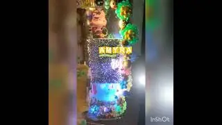 Jungle Theme - Wild Two!!