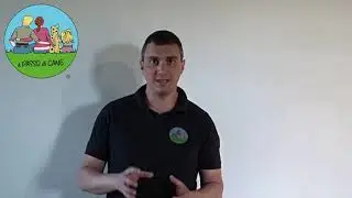 La tempra nei cani