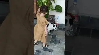 Let play with my cat  #babybossadventures #babyclothing #cutebaby #babyboss #baby #cocomelonfamily