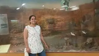 Rajiv Gandhi Regional Museum of Natural History, Ranthambhore, Rajasthan, India. 