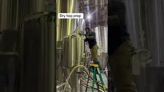dry hopping ipa #beer #brewer #ipa #hops #brewing #brewinglove #alchemist #brewerytok #brewerylife