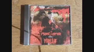 Poostew vs. Ripped 2 Shreds - split (full album)