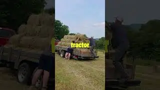 Round Bale vs Square Bale Hay