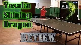 Review Yasaka Shining Dragon + exercise for better forehand