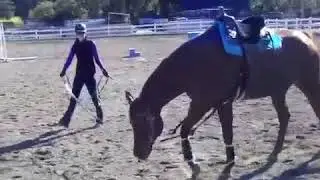 Art2Ride Associate Trainer Program: Amy Savage Flores Submission 1