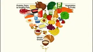 They Changed The Food Pyramid... Again