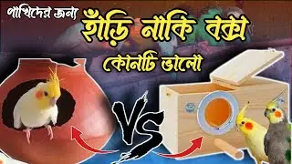 Birds Breeding Box Vs Hari || Breeding Box Vs Matki For Birds || হাঁড়ি না বক্স কোনটি ব্যবহার করবেন