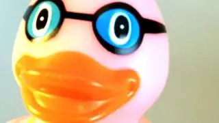 Most Noble Prize for Professor Rubberduckus