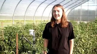 Effects of Grafting on Nutritional Quality of Tasti-Lee Tomatoes