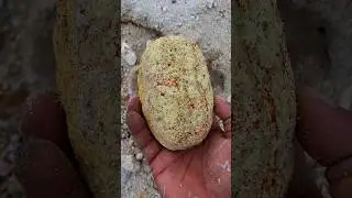 hunting for super beautiful beautiful stones ⚒️ #Treasure #gemstone #agate #jade #Petrifiedwood
