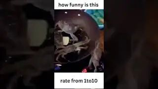 funny tiktok shorts #funny #funnyshorts #tiktok #tiktokvideo #tiktokshorts #mustwatch #lol