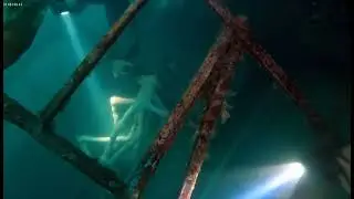 **Sea Creature Found?!** #viralshort #shorts #Viral #short #indianviralshort