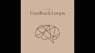 Feedback Loops