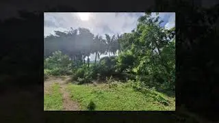 Mixed Residential, Riceland, Fishpond, Nipa Land for SALE