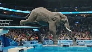 The Most Awkward Olympic Dive Ever 😂   #olympics #diving #funny #AI #viral #trending #fail