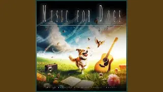 Calm Guitar Music For Dogs