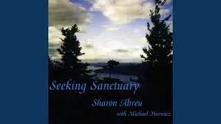 Seeking Sanctuary