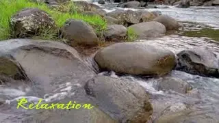 The Sound of a River That Makes You Sleepy - Natural Relaxation The Sound of Flowing Water