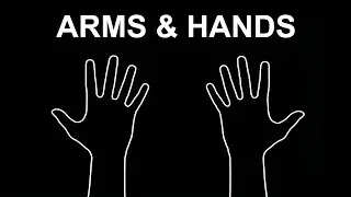 Quick Interactive Arm Warm Up | Arm + Hand Movements | Easy & Fun for Everyone