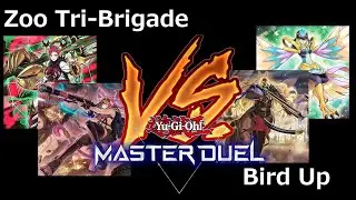 Yu-Gi-Oh! Master Duel: Zoo Tri-Brigade vs. Bird Up Match Commentary