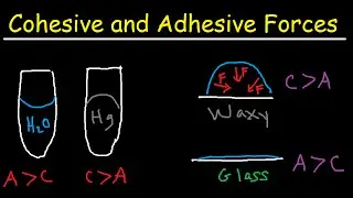 Cohesive and Adhesive Forces of Water