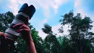 Betla National Park Full Documentary | Wildlife, History, Safari, Danger Reality Explained