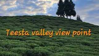 Teesta valley view point