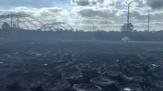 New video shows extensive fire damage to Osceola County plant nursery