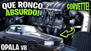 OPALA V8 ASPIRADO!! ACELERANDO COM O RONCO MAIS BONITO!!! CACA COMPETIÇÕES - RACEMIDIA.
