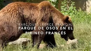 Parc,Ours - Parque de osos en el pirineo Franc&eacute;s (Borce-Francia)