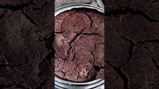 🌾millet bread #millet #homemade#love #food #youtubeshorts#shorts#shortvideo