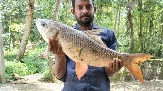 മീൻ പിടിക്കാനുള്ള സ്പൈഡർ ചൂണ്ട ചെയ്താലോ#videos #fishing #fish #longvideo #AKP family vlog #viral