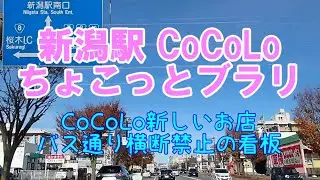 新潟駅CoCoLoちょこっとブラリ　でかい横断禁止の看板  CoCoLo新しいお店