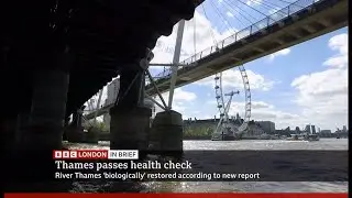 Facial recognition, people, TV, HS2, crimes, Thames clean pass, council, firework ban report & why
