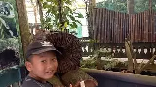 Perjalanan ke Beruang Madu 29 Desember 2024