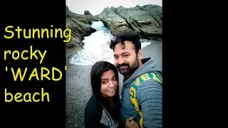 'Ward' Beach | रांजणखळग्यांचा बीच | NZ
